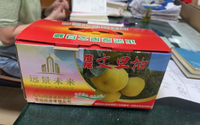 远景未来携手度尾文旦柚基地 共助产业振兴 打响“度尾文旦柚”金字招牌