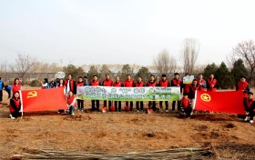 中国二冶山东公司多形式组织开展植树节活动